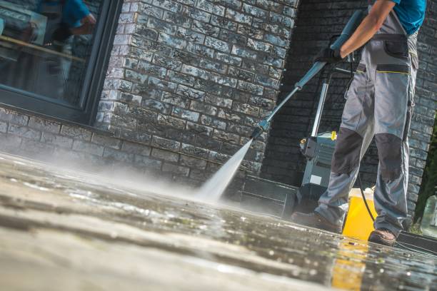 Best Roof Washing  in Waskom, TX