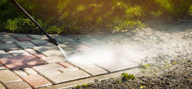 Best Residential Exterior Washing  in Waskom, TX